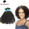 Kinky Curly Natural Black Brazilian Virgin Human Hair Weaving Without Chemical supplier