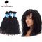 100% Natural Black Kinky Curly European Virgin Hair Of Human Hair Bundles supplier