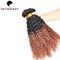 Two Tones Ombre Remy Hair Extensions ,  Curly Human Hair Weaving For Black Women supplier