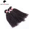 Raw Natural Curly Wave Double Drawn Human Hair Extensions 10 inch - 30 Inch supplier