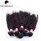 10 inch - 30 inch Natural 6A Tangle And Shedding Free Remy Human Hair Extension supplier