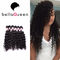 Afro Kinky Curly Mink 100% Peruvian Human Hair Extensions For Black Women supplier