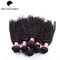 Afro Kinky Curly Mink 100% Peruvian Human Hair Extensions For Black Women supplier