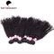 Remy 100G Indian Double Drawn Hair Extensions Curly Natural Black supplier