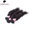 Unprocessed Double Drawn Hair Extensions ,  Remy Human Hair Weave Full Ends supplier