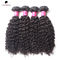Health Water Wave Pure Virgin Indian Curly Hair #1B Black Women Hair Extension supplier