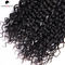Health Water Wave Pure Virgin Indian Curly Hair #1B Black Women Hair Extension supplier
