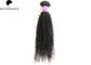 Curly Wave Natutral Black Grade 7A  Virgin Hair Brazilain Human Hair Extension supplier