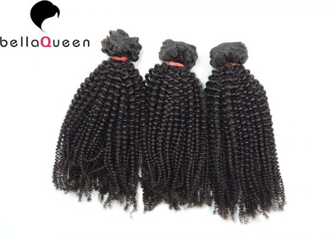 Full End Indian Virgin Hair Kinky Curly Natural Black 1b Human Hair Weft