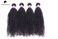 China Deep Curly 6A Burmese Hair Bundles Virgin Natural Black Human Hair Extensions company