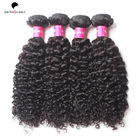 China Health Water Wave Pure Virgin Indian Curly Hair #1B Black Women Hair Extension company