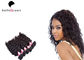 Double Drawn Unprocessed Indian Curly Virgin Hair Extension , 100-105g supplier