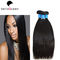 100 g 1b Silky Straight 100% Virgin Mongolian Hair Extensions Straight supplier