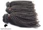 Curly Virgin Full Lace Human Hair Wigs For Black Women hair weaving supplier